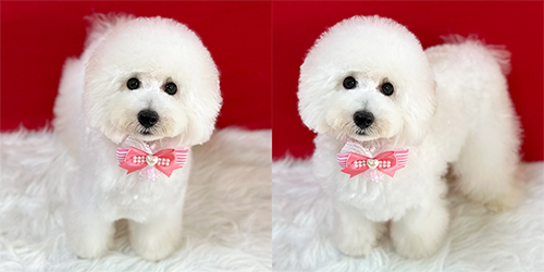 �ꌢTP_�z���C�g