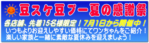 7月1日から開催中!